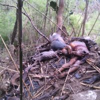 De 15 personas, los restos óseos hallados en Veracruz