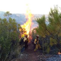 Omiten en informe federal incendios y pérdidas de Baja California