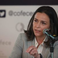 Cofece inicia procedimiento por prácticas monopólicas  de autotransportes en el AICM