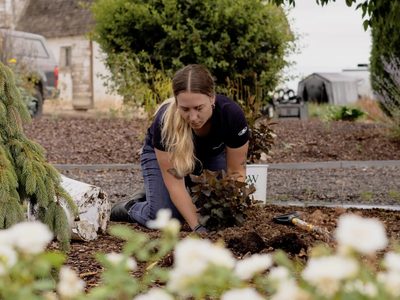 De sol o de sombra: qué plantas elegir la orientación de tu jardín