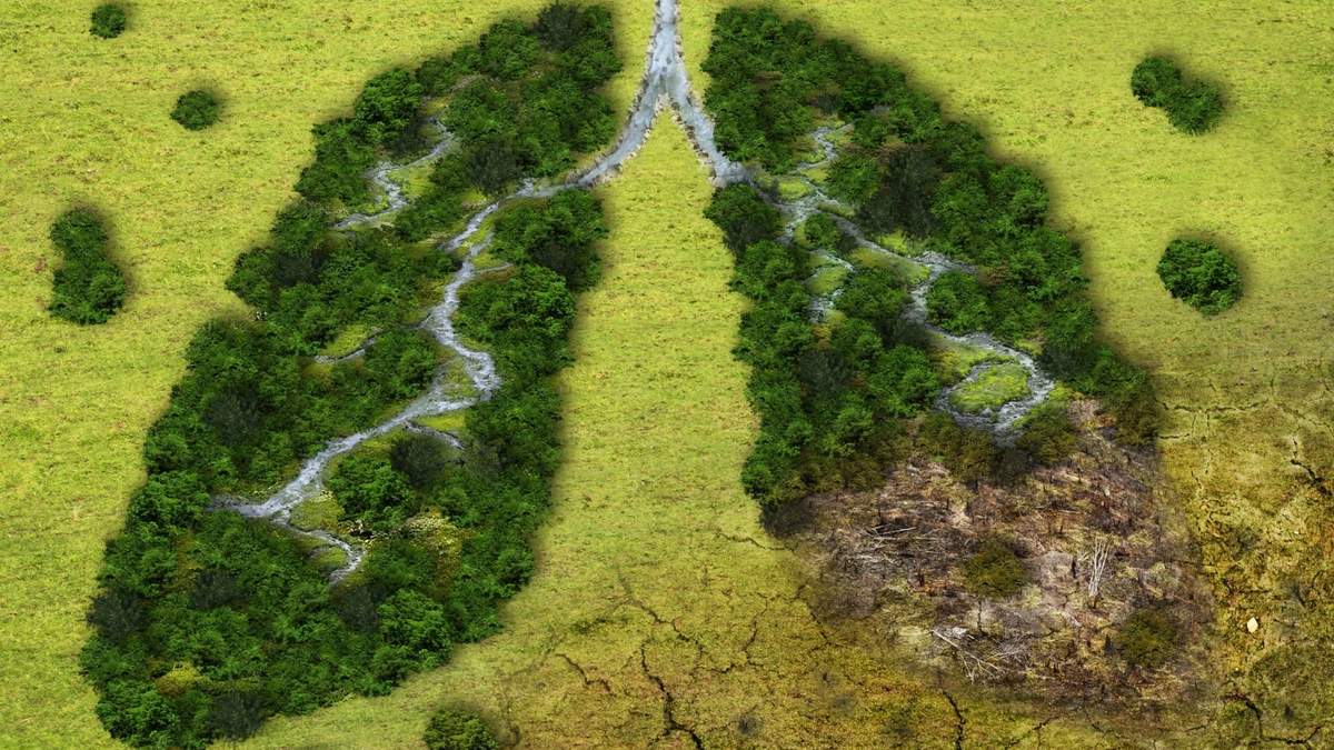 Daño sobre el medioambiente y sus efectos en la salud. Fuente: (Twitter)