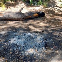 Incendios forestales: Villa La Angostura controla los fogones y acampes en lugares no autorizados