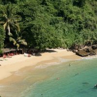 Turistas extranjeros que viajaron a Puerto Escondido dieron positivo a variante británica de covid