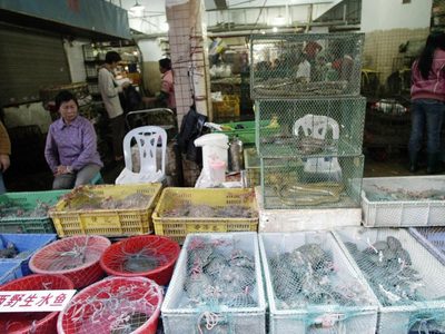Tras el coronavirus en China reabren mercados que venden murciélagos, perros y otros animales vivos