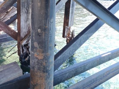 Denuncian grave estado de abandono en el muelle del Parque Los Arrayanes