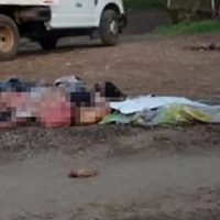 Michoacán: Hallan cadáveres desmembrados y torturados en Tancítaro y Apatzingán