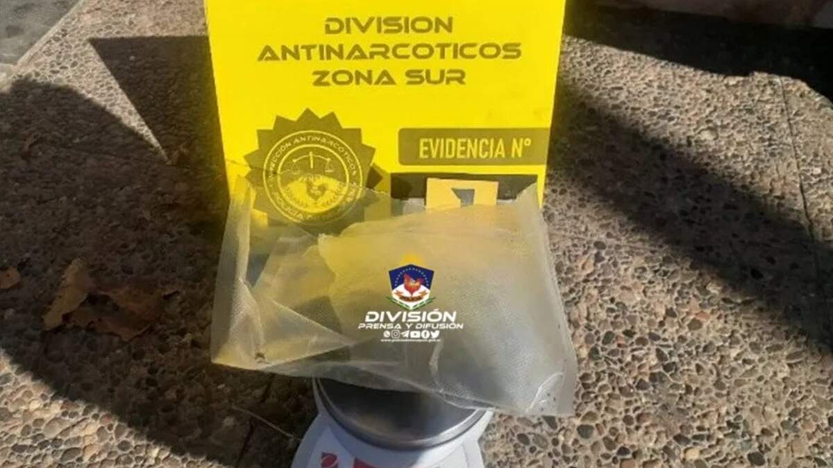 La policía incautó más de 100 envoltorios con cannabis. Fuente: (Policía de Neuquén)