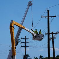 Cables eléctricos derribados habrían causado los mortíferos incendios en Hawái (Videos)