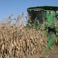 Subieron las retenciones y un sector de productores disparó que el Gobierno "busca un campo enojado"