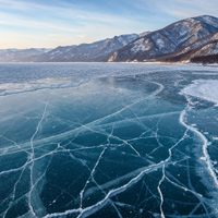 El extraordinario hallazgo realizado en Siberia
