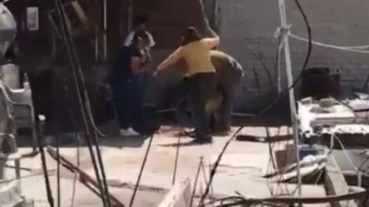 Golpiza propinada al perro llamado Silver