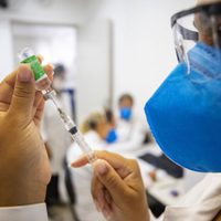 Coronavirus: presentaron un proyecto para que provincias y privados puedan comprar vacunas