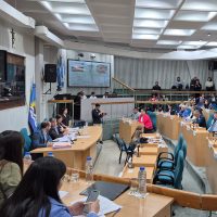 Santa Cruz aprobó la Emergencia Comercial para proteger a las PYMES y el empleo