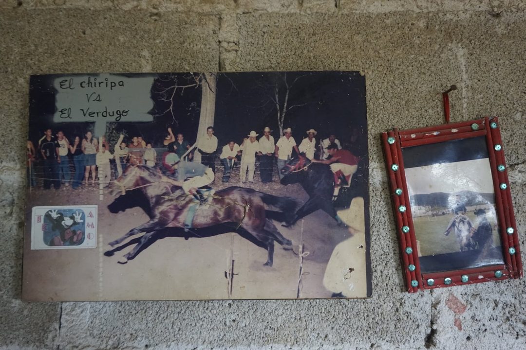 FOTO 4 Ton~o en una carrera de caballos.