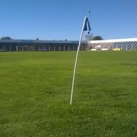 El fútbol regional está de luto: falleció el hincha de Alianza que cayó de la tribuna