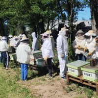 Éxitoso curso de operario apícola en Plottier que brinda salida laboral