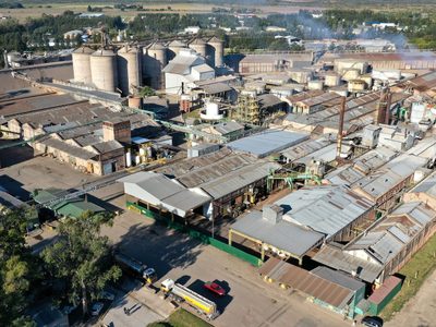 El Banco Nación será querellante en la investigación sobre Vicentín