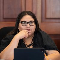 Nueva Derecha acusa a la 4T por aplicación discriminatoria de la ley en violencia vicaria