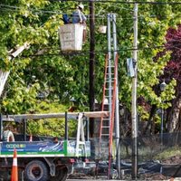 Vandalizaron una línea de alta tensión en Plottier y dejaron sin luz a una parte de la ciudad