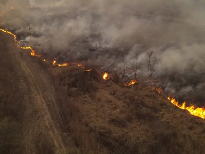 Incendios en Jujuy: varias dotaciones de bomberos trabajan para controlar la situación