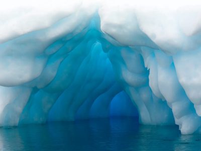 Hallazgo en la Antártida: descubrieron una vida marina secreta, en un río, bajo la capa de hielo