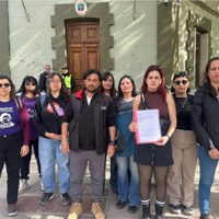 El Frente de Izquierda de Neuquén exigió conocer las políticas del gobierno para casos de violencia machista
