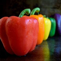 El importante dato nutricional que tenés que saber sobre los morrones antes de volverlos a comer