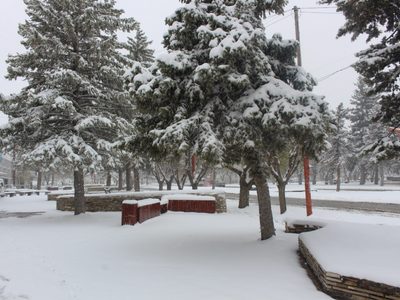 La “nevadita” de primavera se convirtió en una gran nevada en Zapala