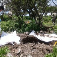Hallan fosa clandestina con al menos 14 cuerpos en zona serrana de Zacatecas