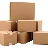 Con solo algunas cajas: mirá este trucazo para organizar tus zapatos en el placard y ahorrar espacio