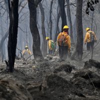 El incendio en Tepoztlán ya ha consumido más de 234 hectáreas, reportan