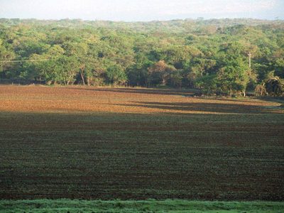 Peña y Calderón otorgaron mil 609 concesiones a mineras en Áreas Naturales Protegidas