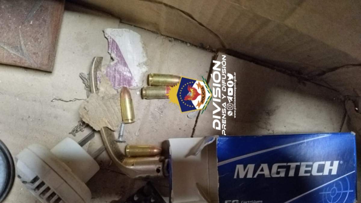 Las municiones encontradas en el predio. Fuente: (Policía de Neuquén)