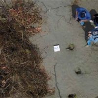 Colectivos reprochan a Fiscalía de Veracruz relegarlos de la exhumación en nuevas narcofosas