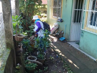 Registran más de cinco mil casos de dengue en Veracruz y desabasto de medicamentos oncológicos