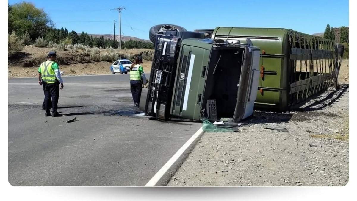 El camión quedó apoyado sobre su lateral izquierdo. Fuente (FM Urbana de Zapala)