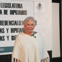 Sánchez Cordero teme que “malandrines” ocupen cargos en el Poder Judicial por elección popular