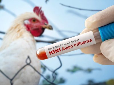 Detectaron un nuevo caso de gripe aviar y crece la preocupación dentro de la provincia de Buenos Aires
