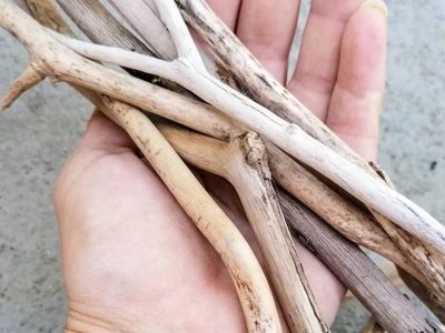 Con ramitas y esta increíble idea, creá la maceta colgante más trendy y bonita para tus plantas