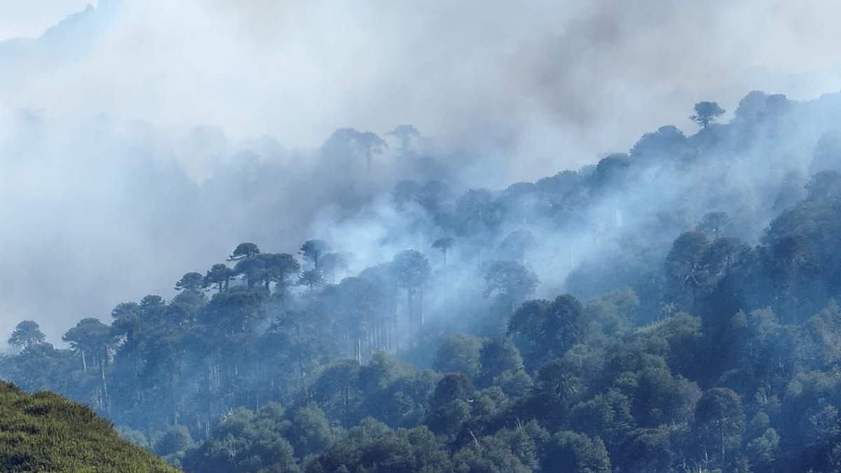 Incendio en Valle Magdalena. Fuente: (Facebook)