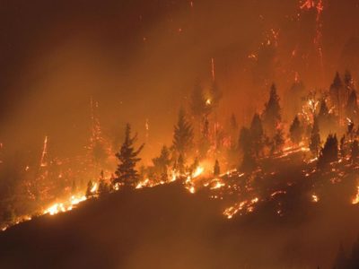 Incendios forestales en la Comarca Andina: un informe revela que fueron intencionales