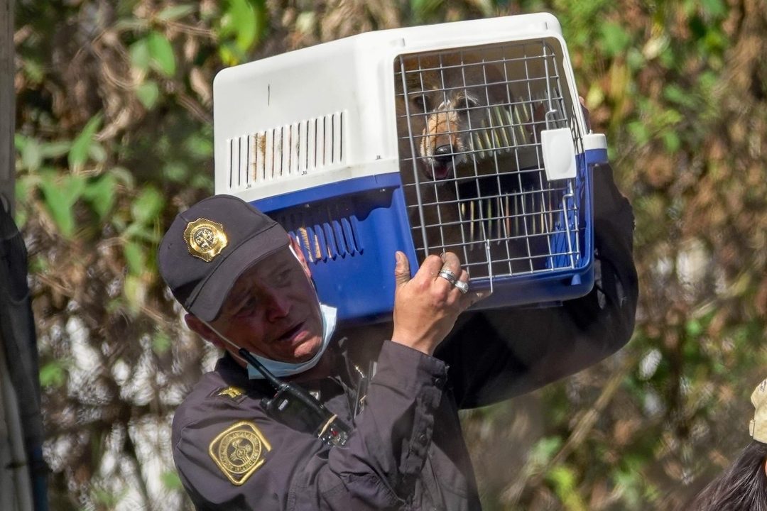 refugio Foto Rogelio Morales  Cuartoscuro
