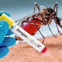 Neuquén trabajará con los municipios y la UNCo en el desarrollo del Plan Provincial contra el dengue