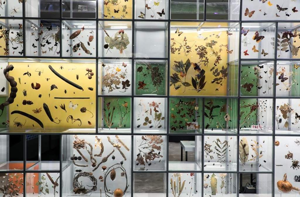 El Pabellón Nacional de la Biodiversidad en la UNAM