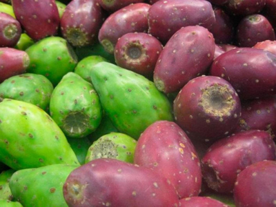 La fruta que crece gratis en todas las calles y que es muy parecida al kiwi: mirá cómo cultivarla