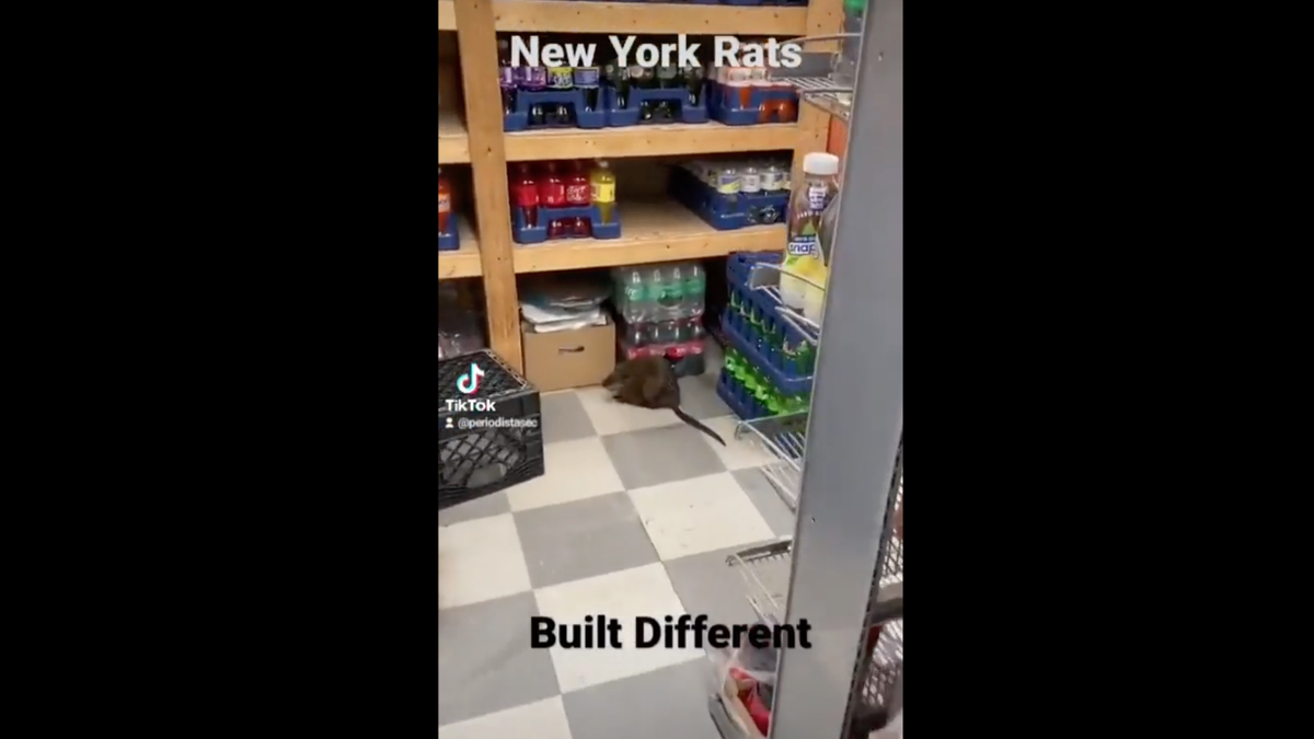 El video que se viralizó en redes