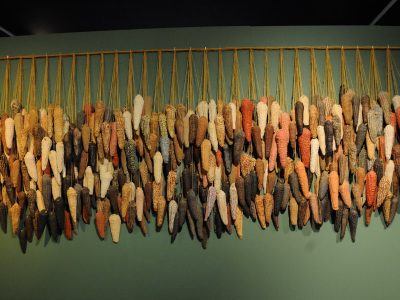 "La milpa. Pueblos del maíz", en exhibición en Coyoacán