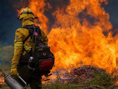 Proponen crear por ley un Plan Provincial de Manejo del Fuego