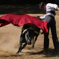 Defensores de corridas se acercan a jóvenes para sumar nuevos seguidores a la tauromaquia en México