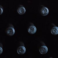 Los más resonantes casos de fraude en el mundo del vino